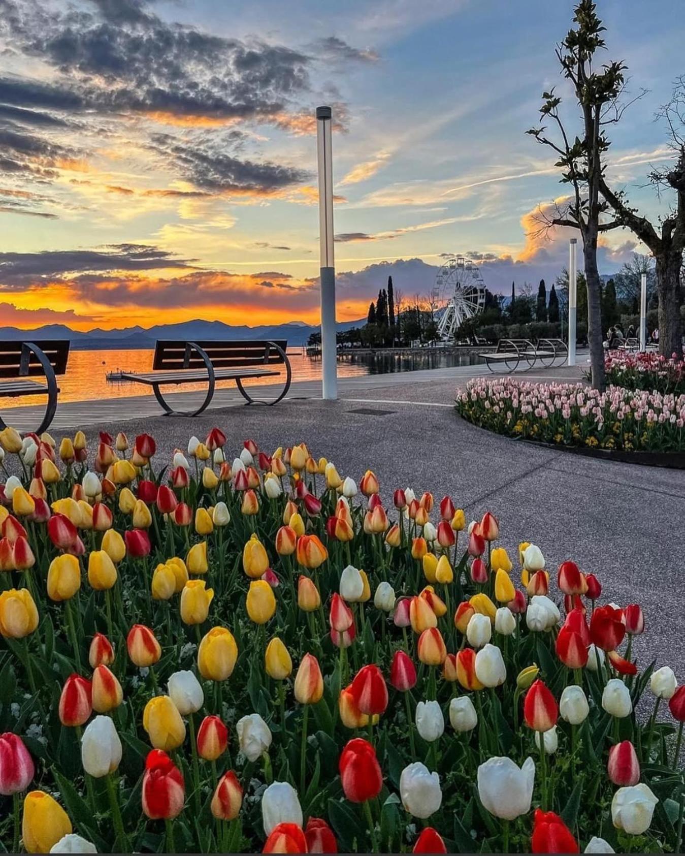 Vanti Al Garda Apartamento
